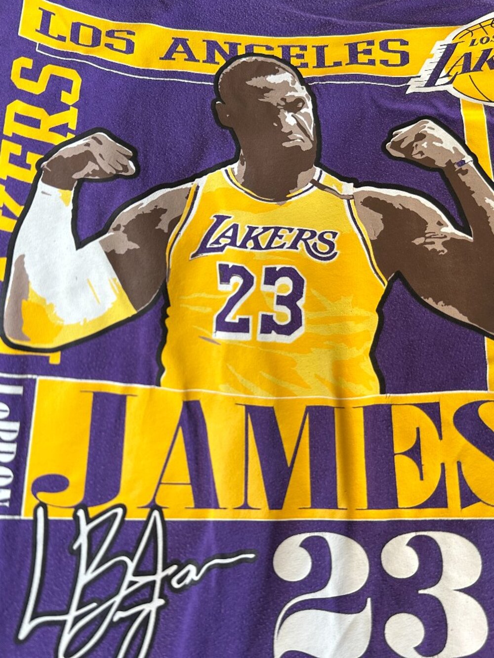 Lebron James Los Angeles Lakers #23 Men's Purple T Shirt Size 2XL XXL NBA